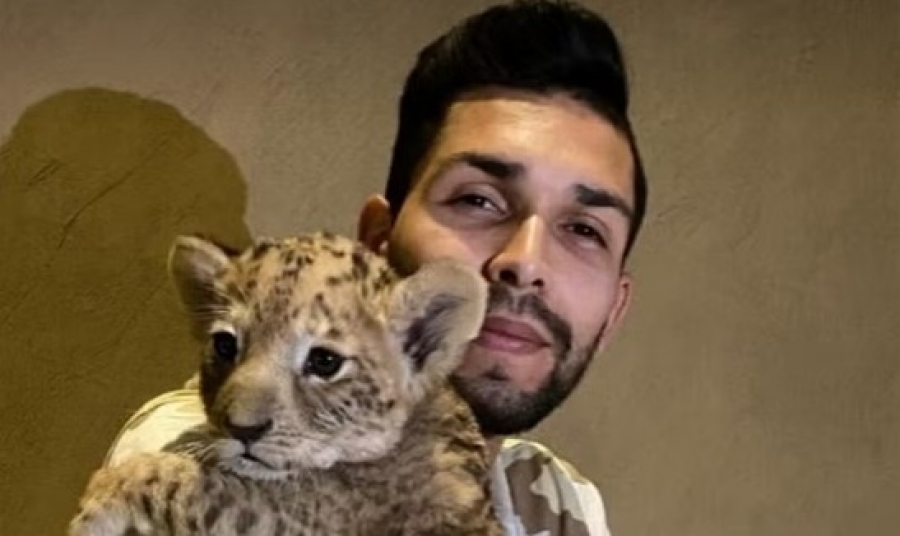 (PTaS) Animais? Pacotes de dinheiro? Artigos de luxo? Como é o "bicho" no futebol na era do Pix