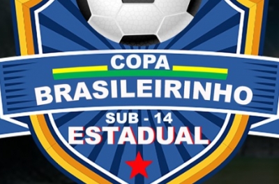 Brasileirinho Estadual 2019 (BASE) - Informações