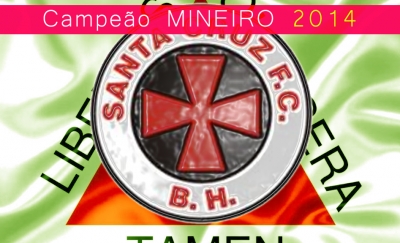 Mineiro Feminino 2014: Santa é campeão!