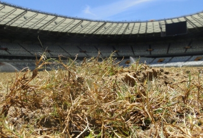 De olho no início da temporada 2015, novo gramado do Mineirão é plantado